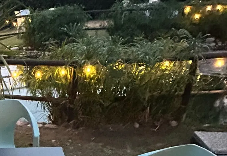 Luci calde tra le piante e il laghetto