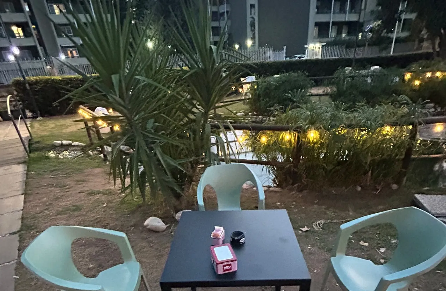 Il giardino del Victory Chalet con le palme e le lucine